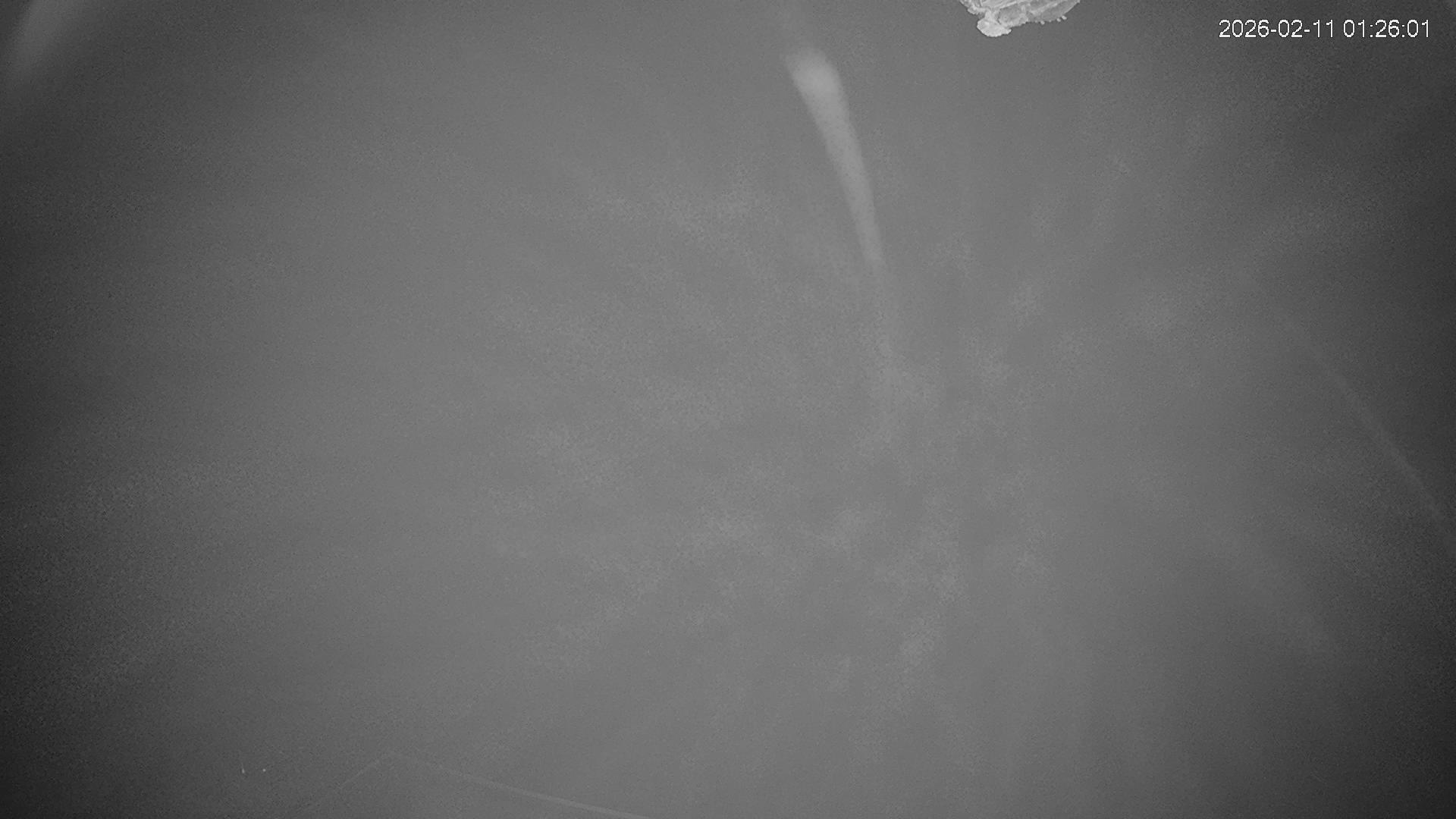 Kamera na żywo - Alšovka