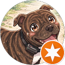 Miroslav A. profile picture